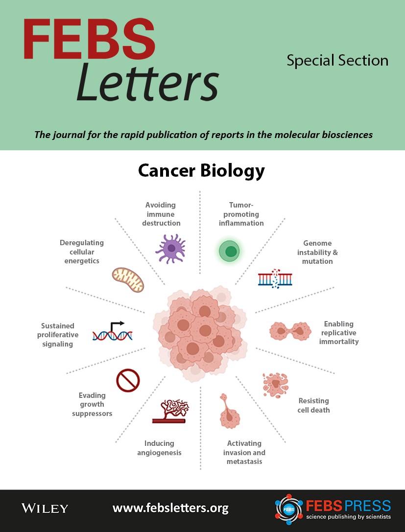 Registration Now! Global Oncology Symposium on Oncogenic Viruses